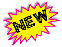 TSarburst for BNEW logo